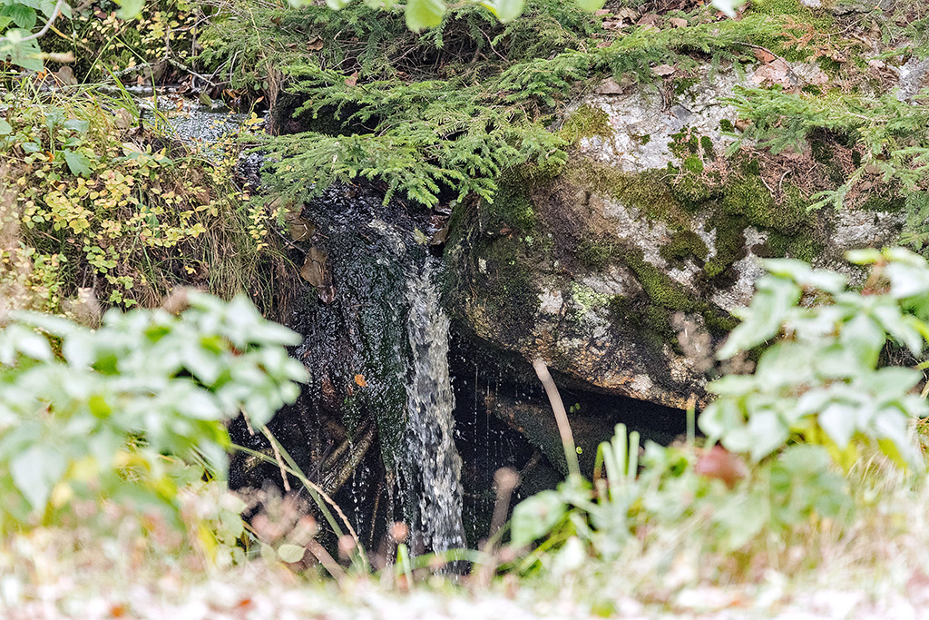 Kleiner Wasserfall im Tresticklan