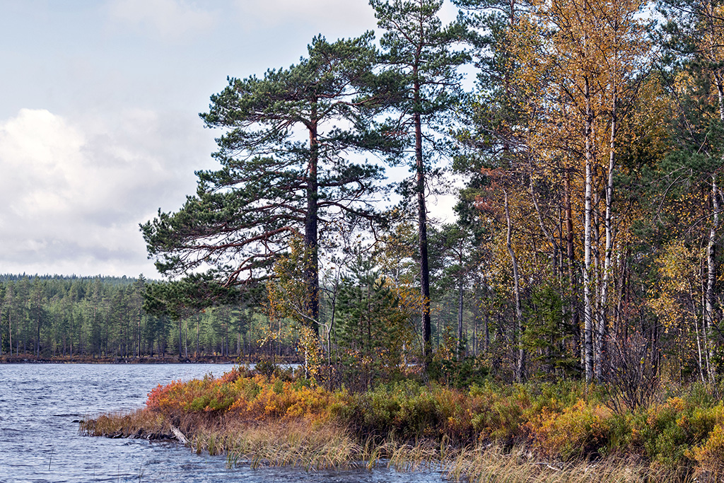 Wundervolles Schweden im Herbst