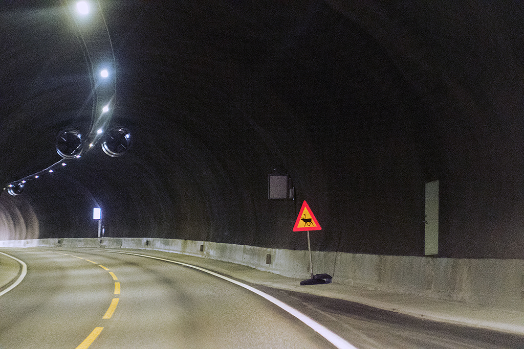 Tunnel mit Rentierwarnung