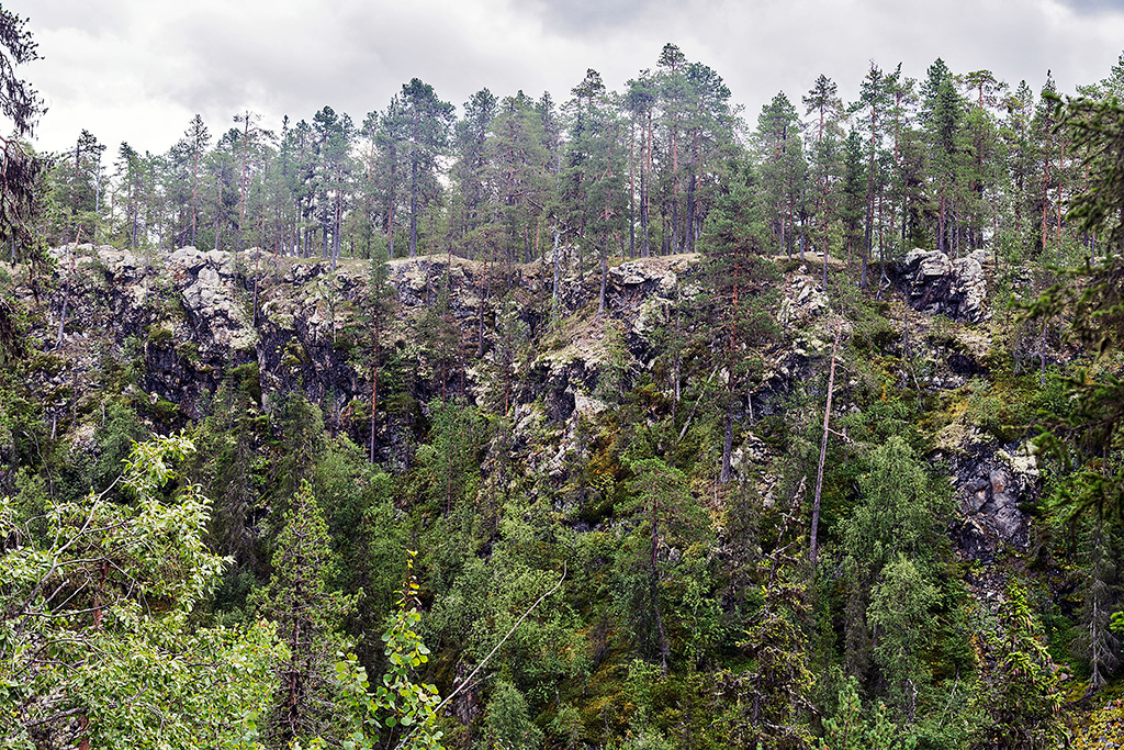 Felswand Naturreservat Masugnsbyn