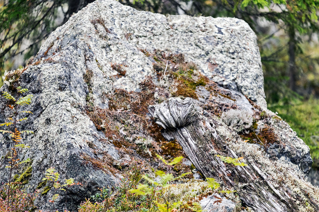 Urwüchsige Felsen im Björnlandet