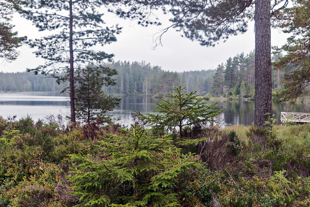 So schön ist das Naturreservat Ånnaboda