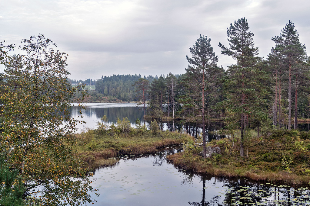 Seelandschaft Naturreservat Ånnaboda
