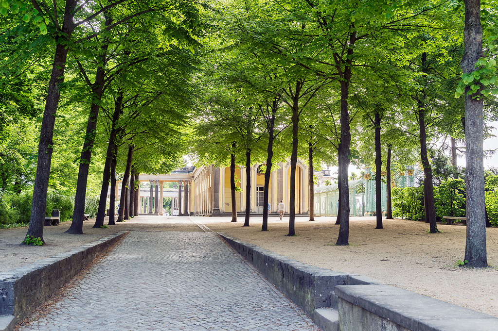 Aufgang zum Schloss Sanssouci