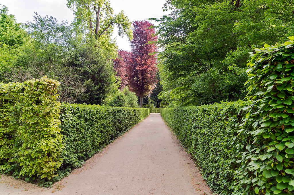 Heckengesäumter Weg im Park Schloss Sanssouci