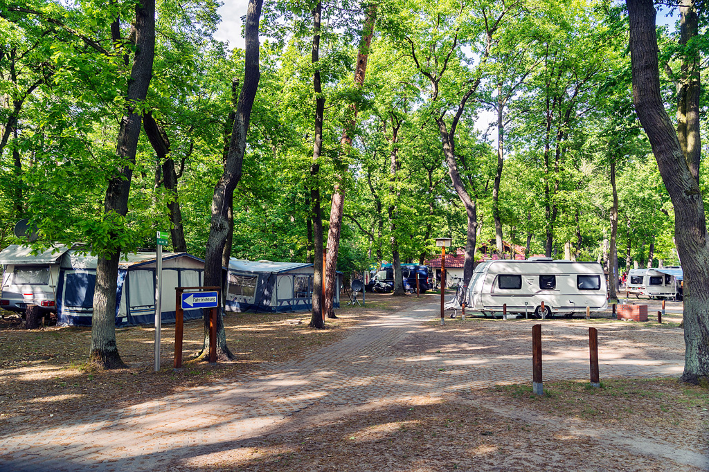 Stellplätze unter Bäumen im Campingpark Sanssouci