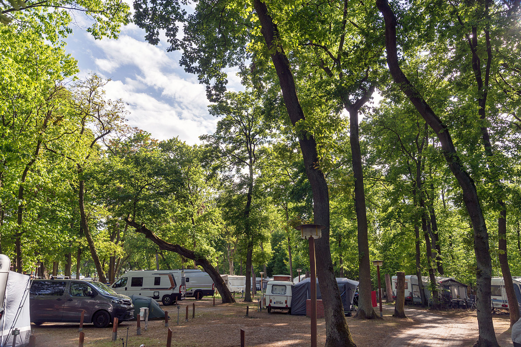 Campingpark Sanssouci im Wald