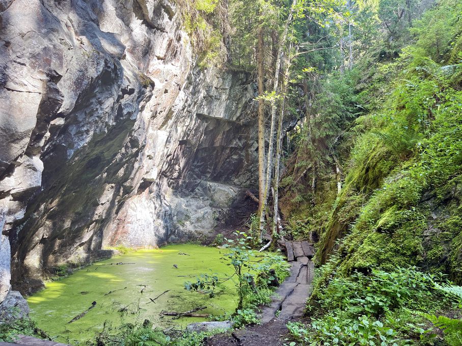 Die Natur übernimmt Limstensgruvorna