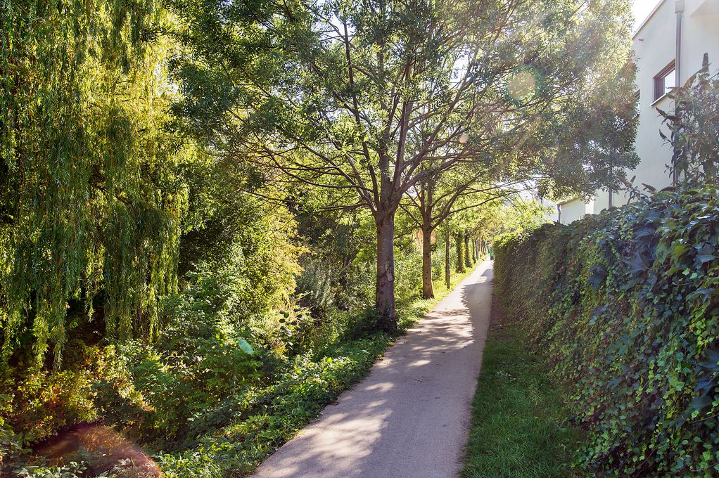 Weg in Brandeburg an der Havel