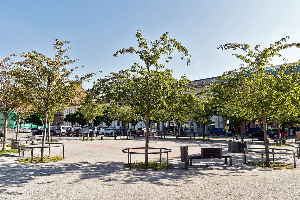 Neustädtischen Markt in Brandenburg
