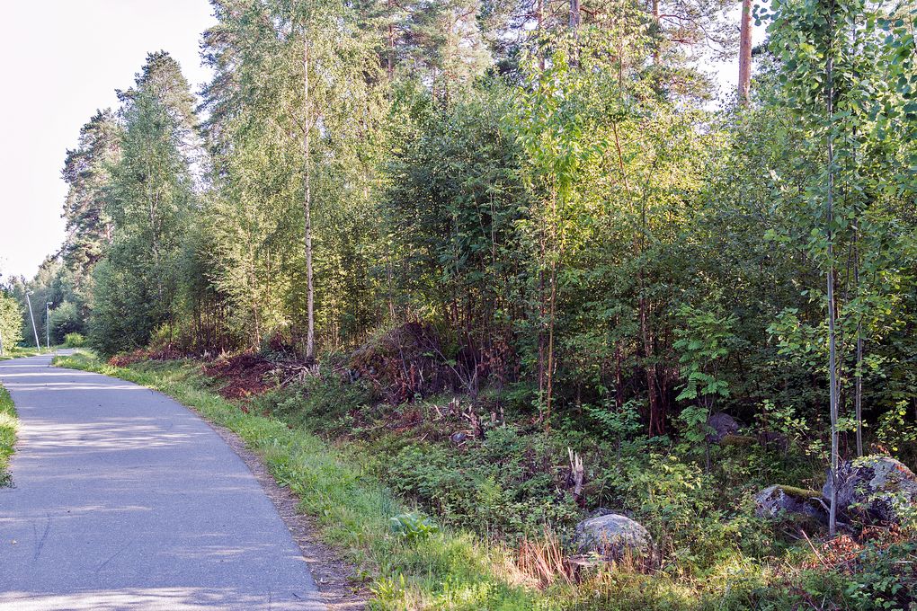 Wenn man einkaufen gehen will in Falun