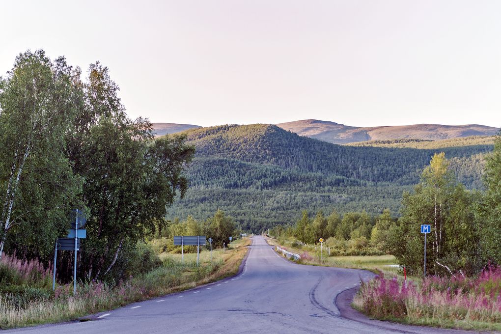 Blick von Nikkaluokta weg