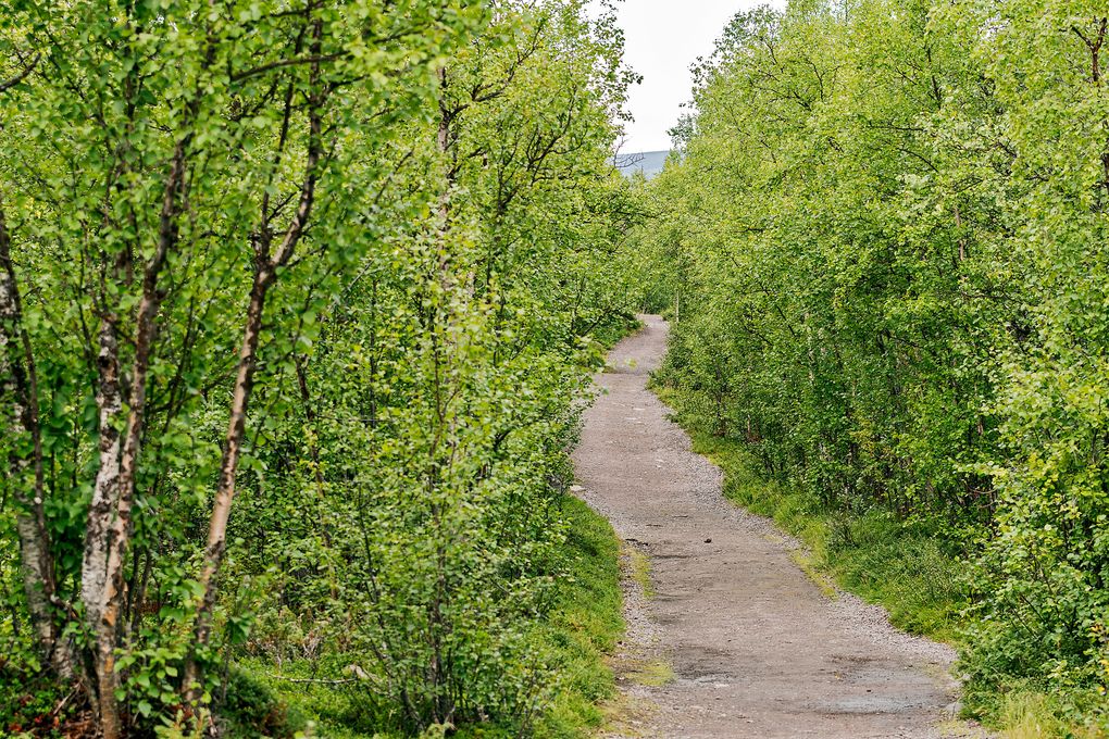 Gut ausgebauter Wanderweg