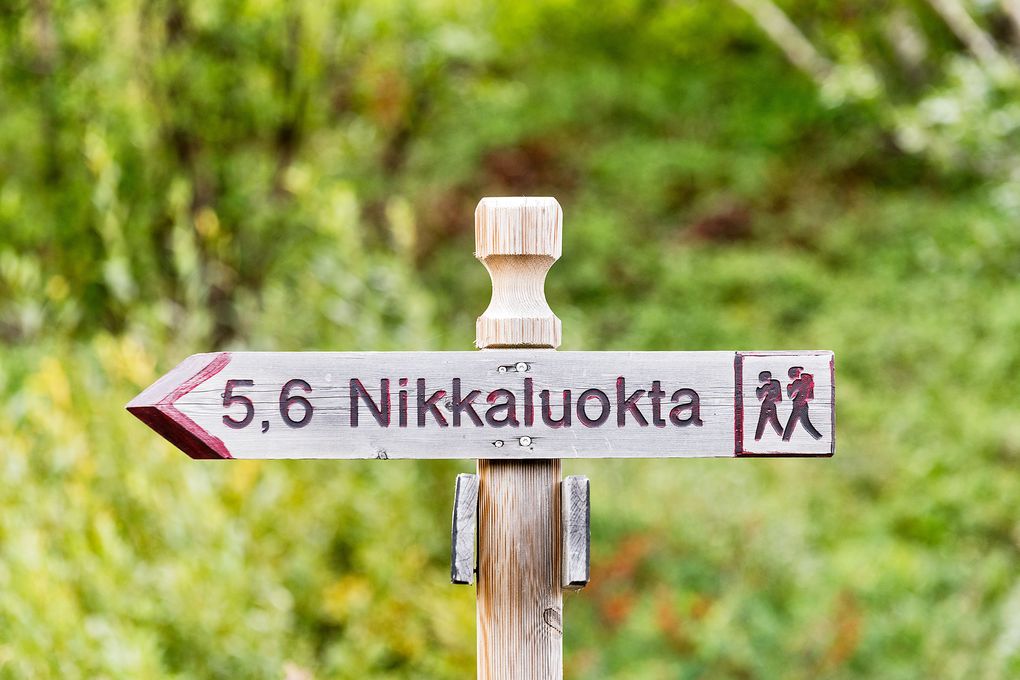 Hier geht es zurück