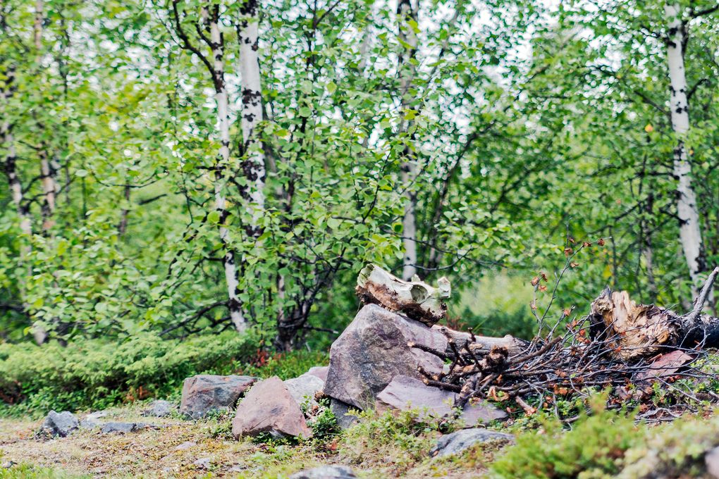 Makabere HInterlassenschaft