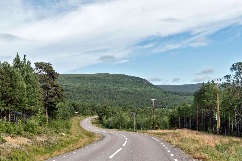 Idyllische Waldregion