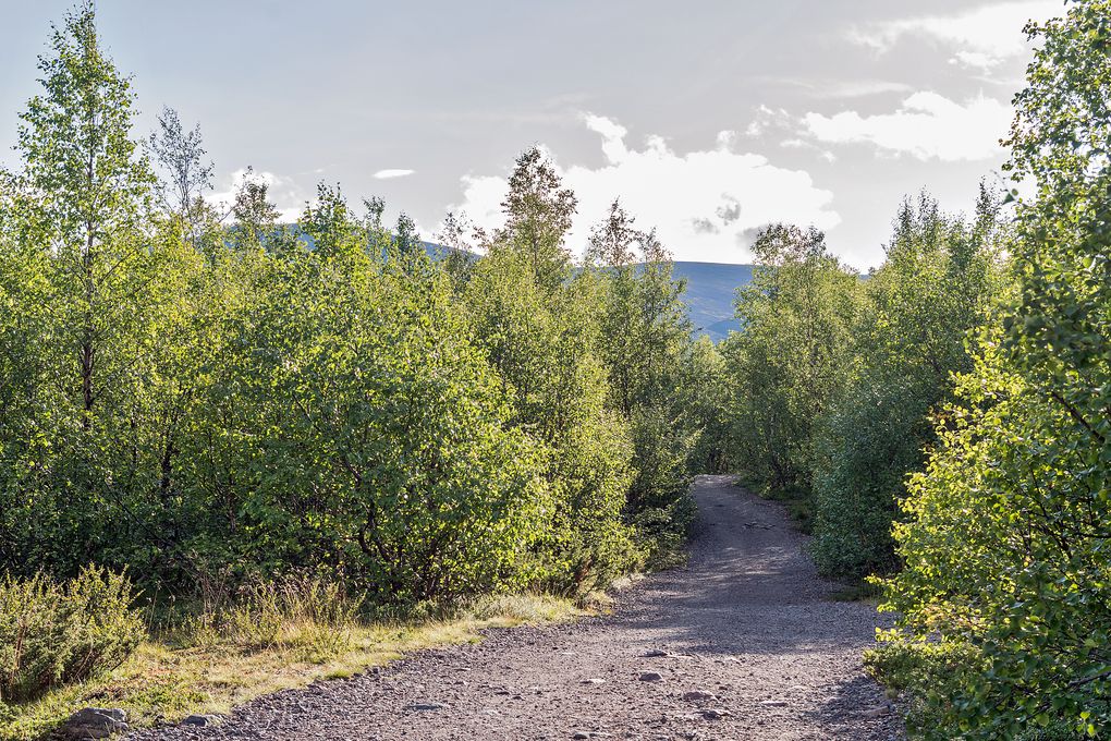 Der Wanderweg ist fast eine Straße