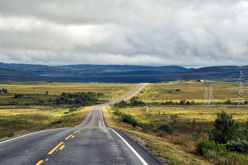 Taiga wird zur Tundra