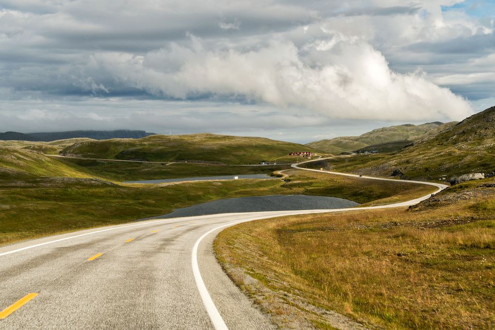Es wachsen keine sichtbaren Bäume mehr