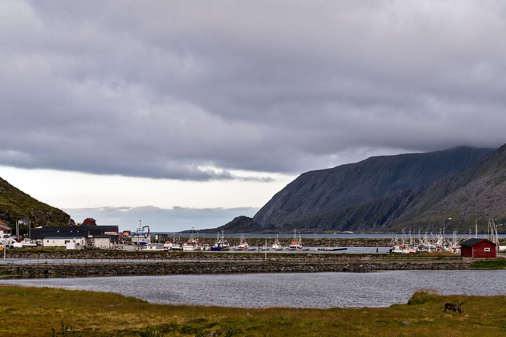 Hafen Skarsvåg und Hafenausfahrt ins Nordmeer