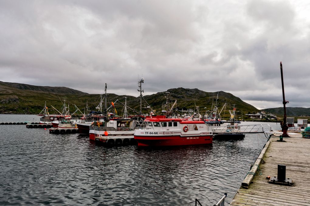 Fischerboote Skarsvåg