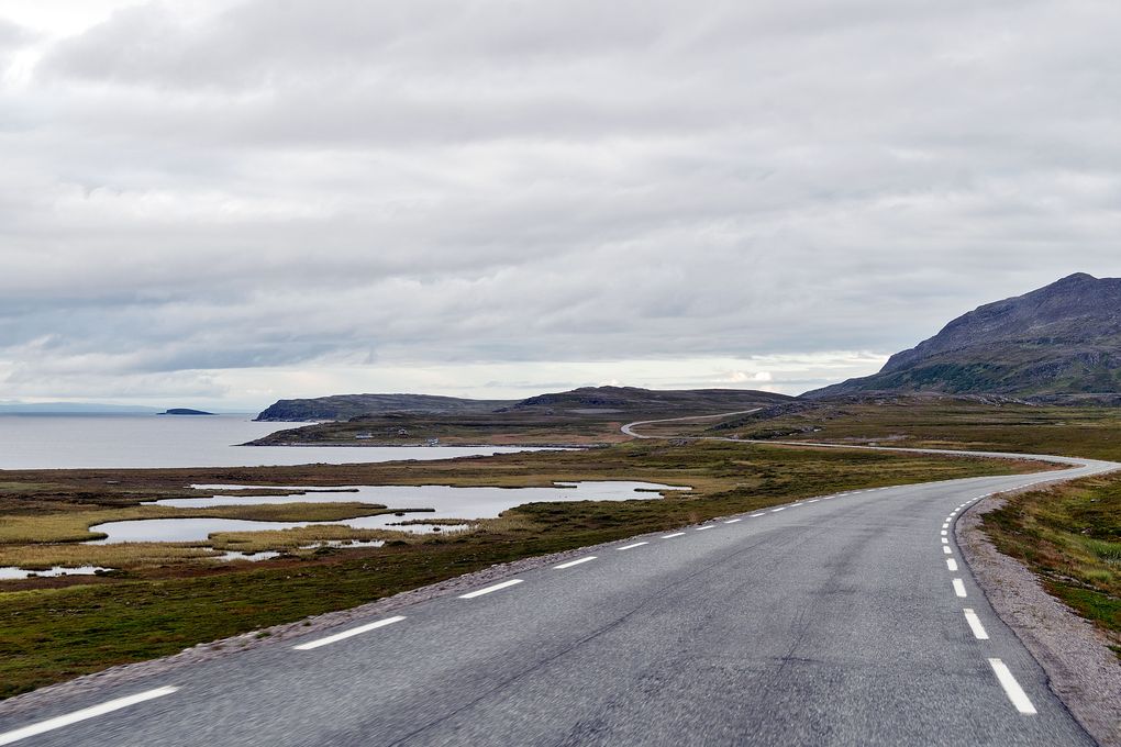 In der Tundra am Meer