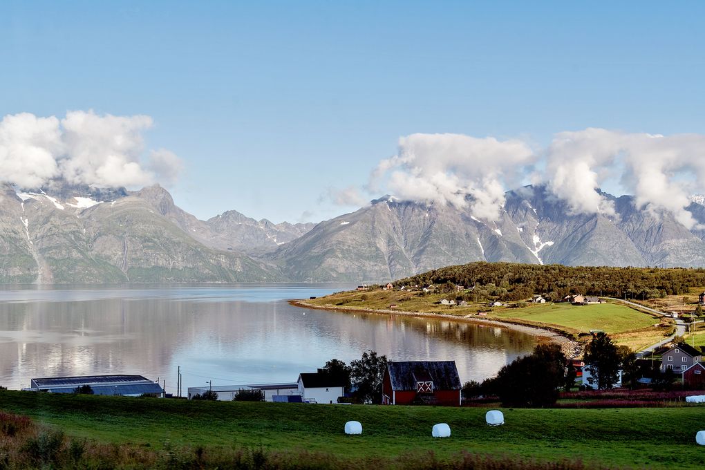Schöner wohnen am Fjord