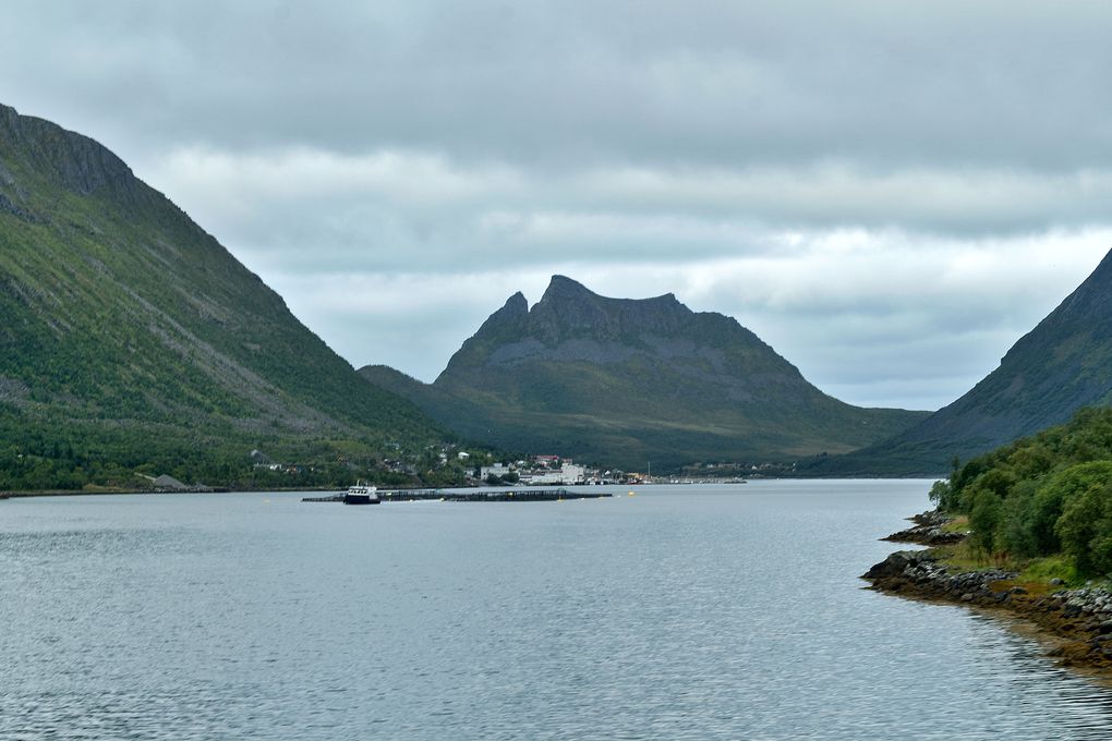 Der Gryllefjord