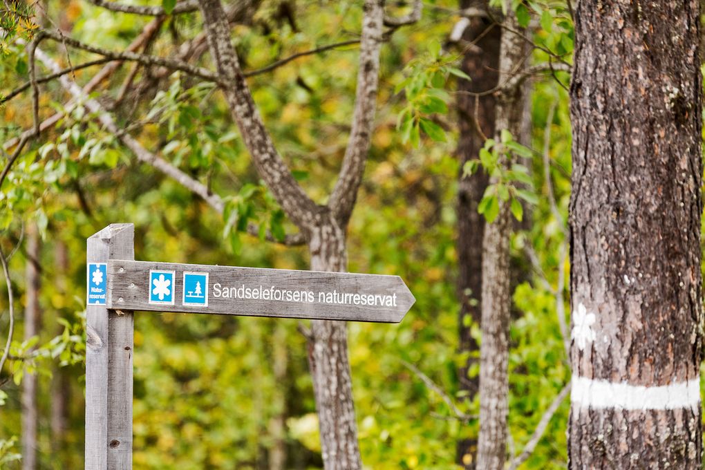 Hier geht zum Naturreservat Sandseleforsen
