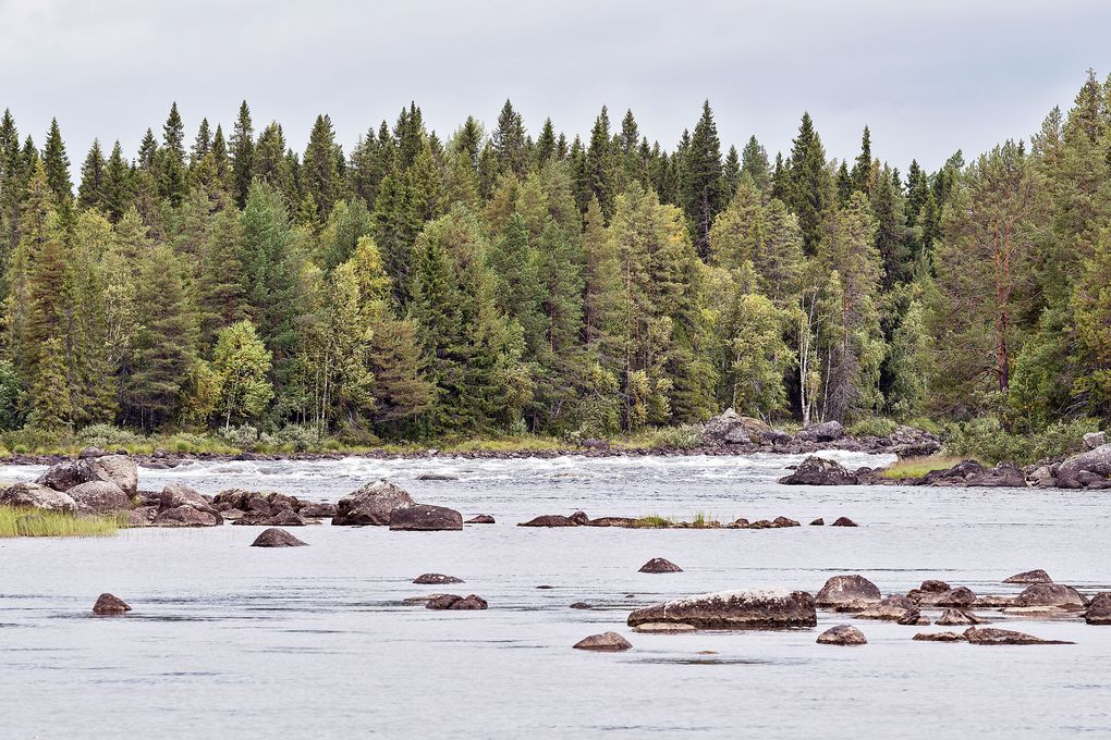 Vindelälven mit kleinen Stromschnellen