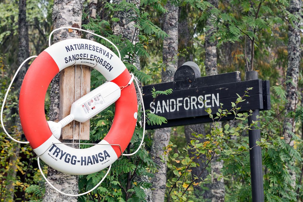 Sandseleforsen – Unbekannte Stromschnellen