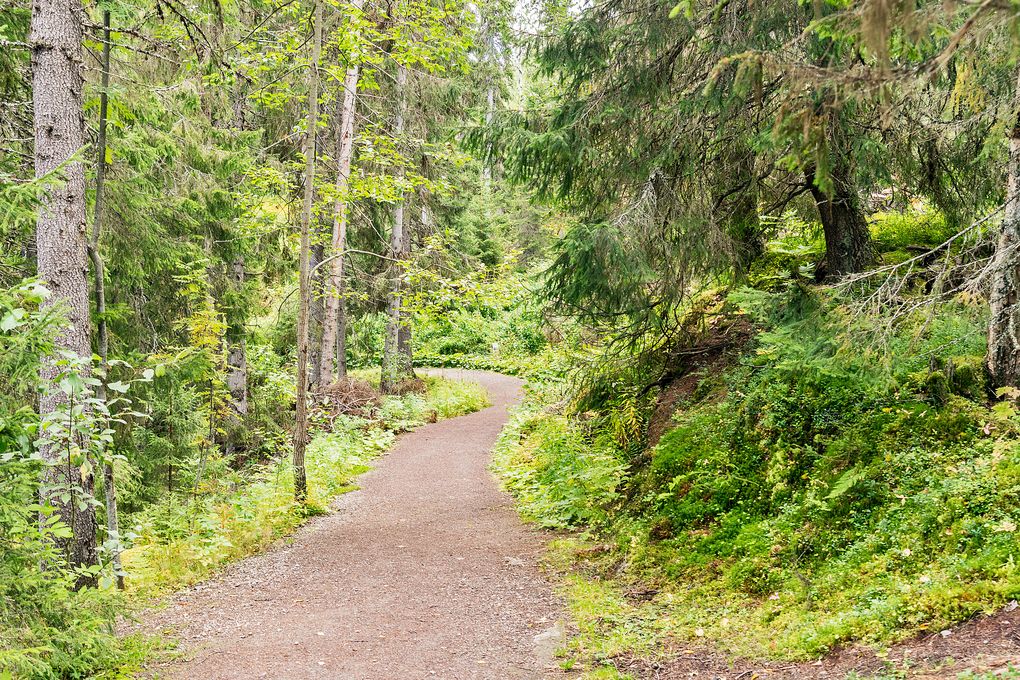 Wanderweg zum Tännforsen