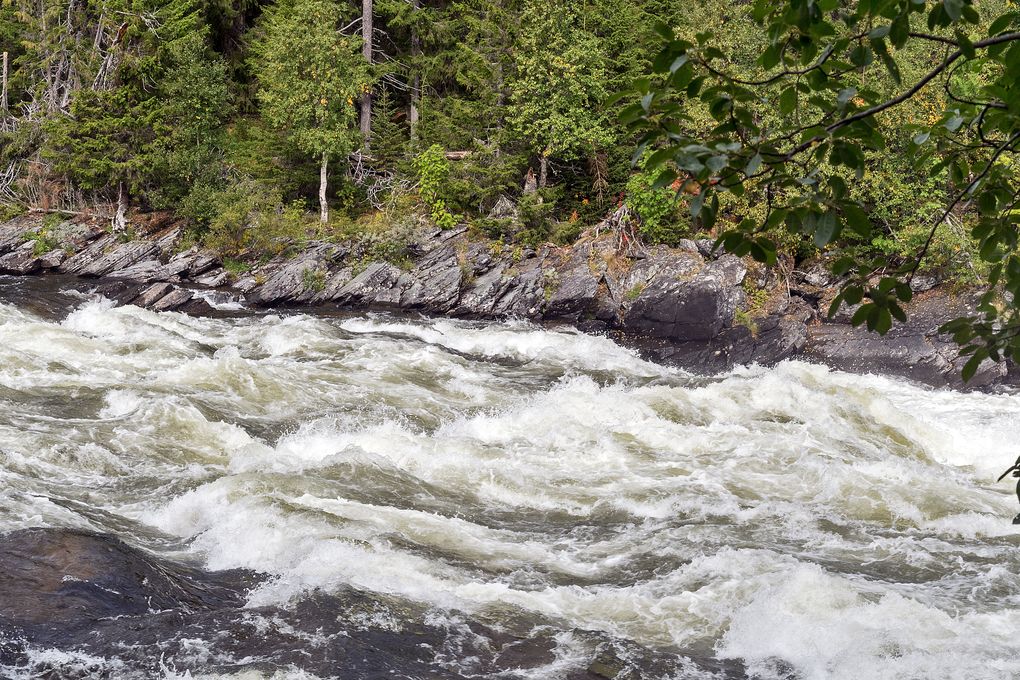 Wildes Wasser vorm Tännforsen