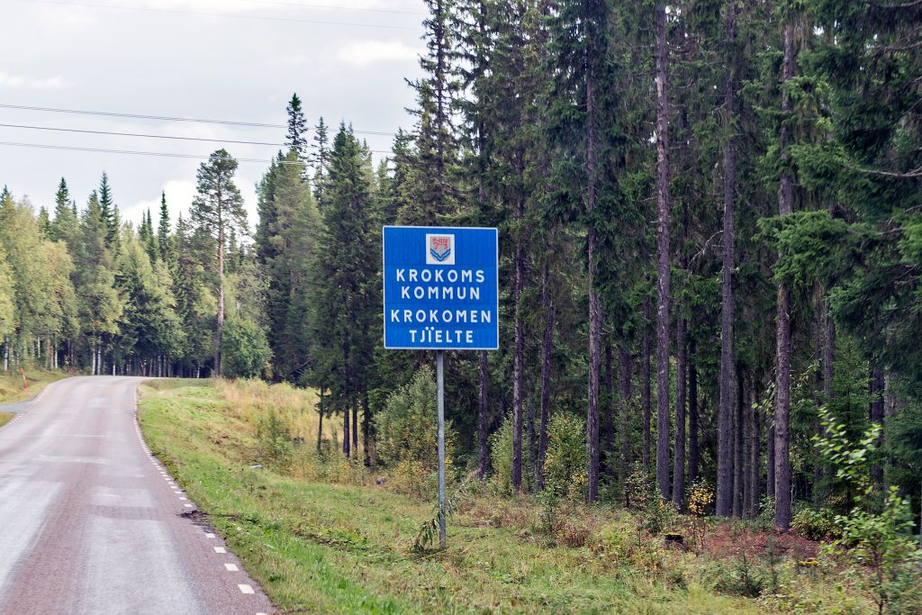 Krokon im Jämtland