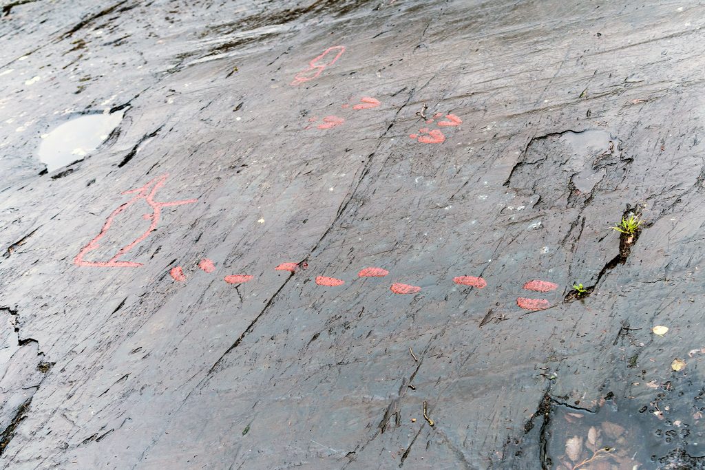 Hufabdrücke als Felsritzungen