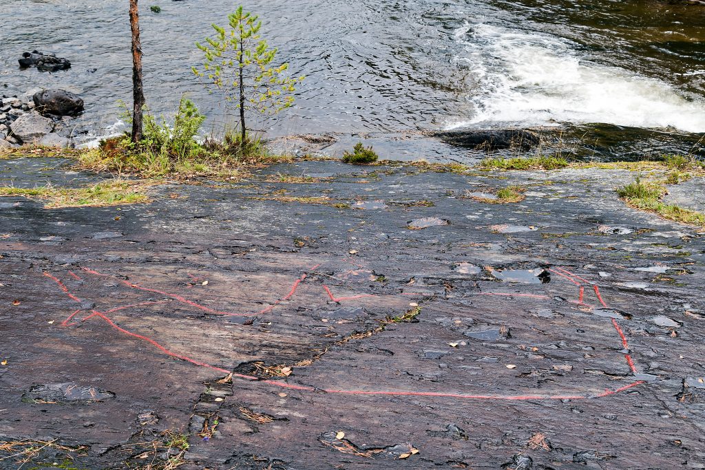 Der große Elch steht auf dem Kopf
