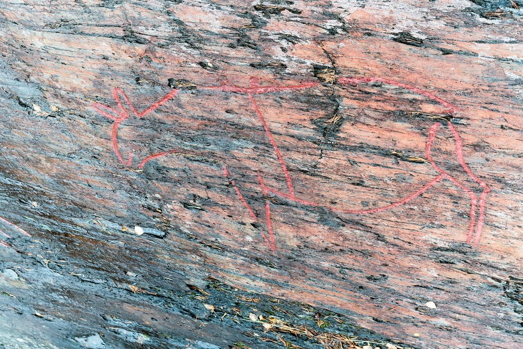 Die stolzen Elchen von Gärde