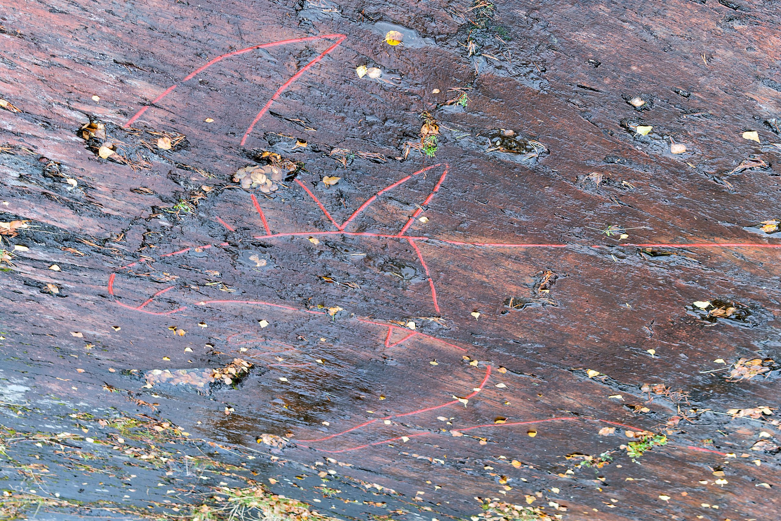 Gärde – 7.000 Jahre alte Elche