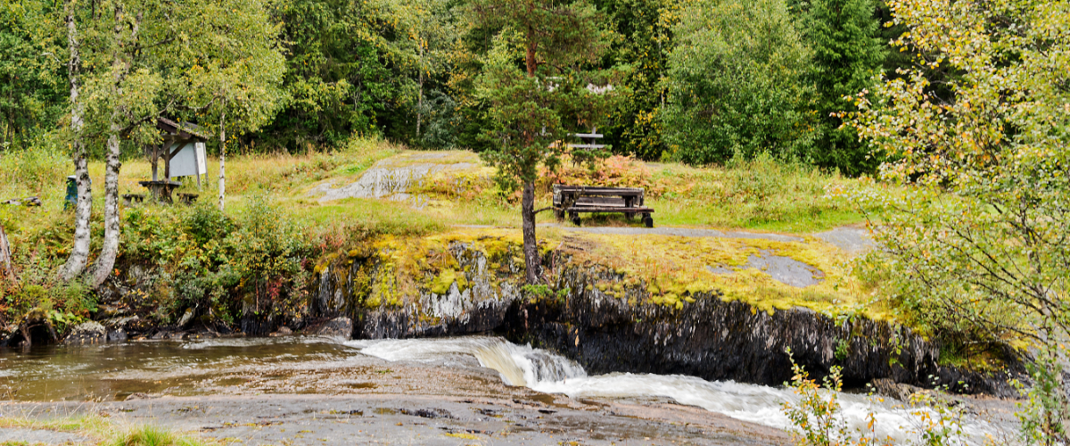 Gärde – 7.000 Jahre alte Elche