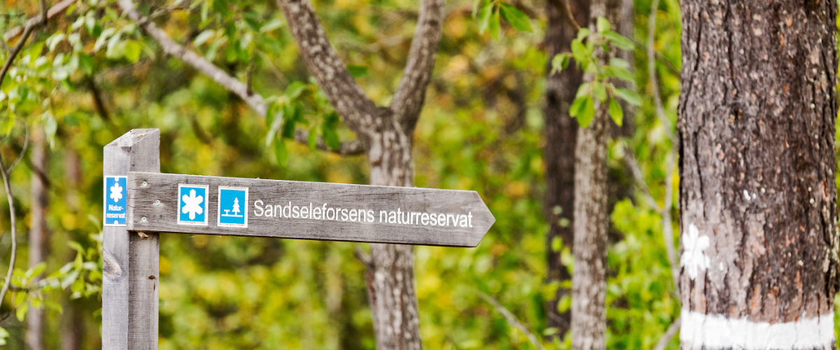 Sandseleforsen – Unbekannte Stromschnellen