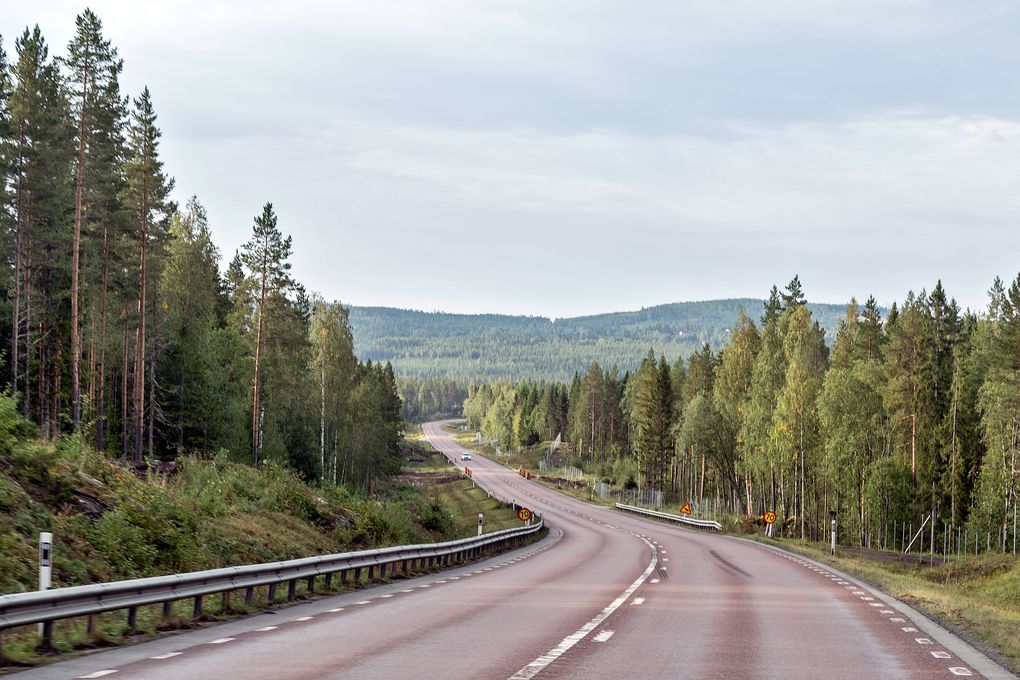 Viel Wald im Jämtland