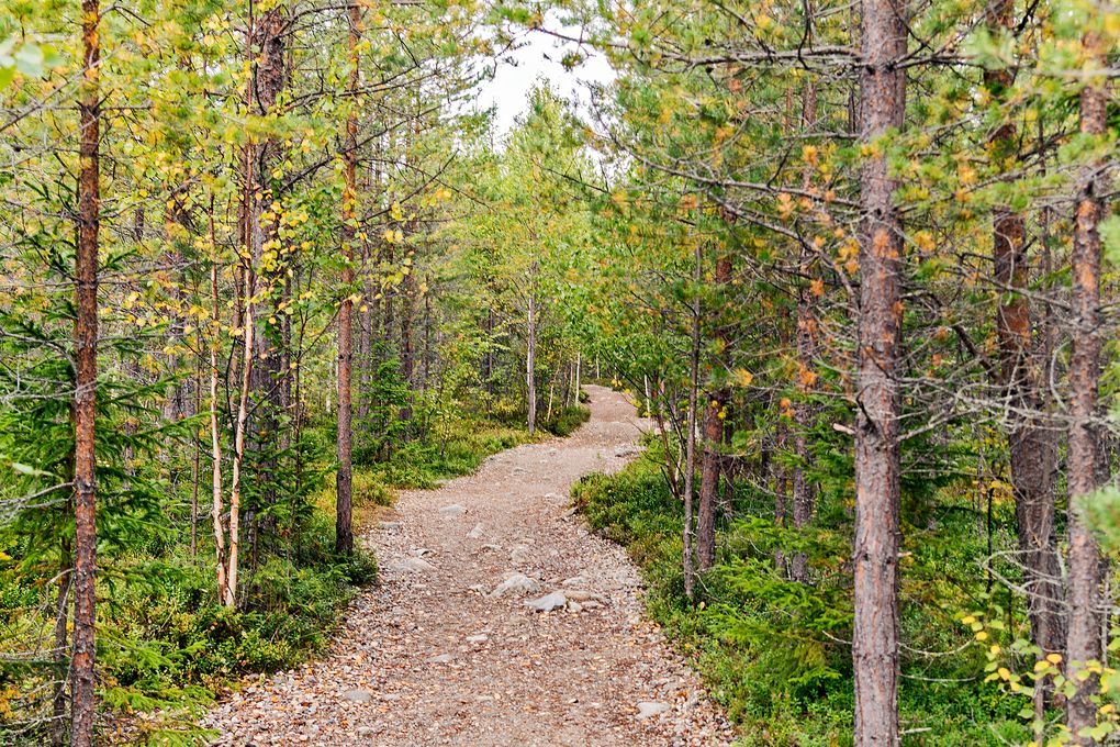 So beginnt der Weg zum Fettjeåfallet