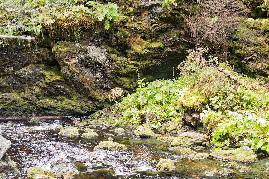 Der Bach hat eine kleine Höhle gebaut