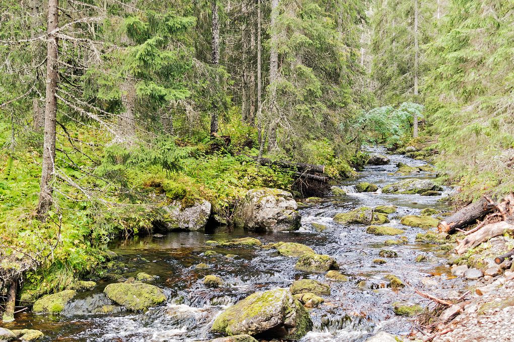 Ganz frisches Wasser