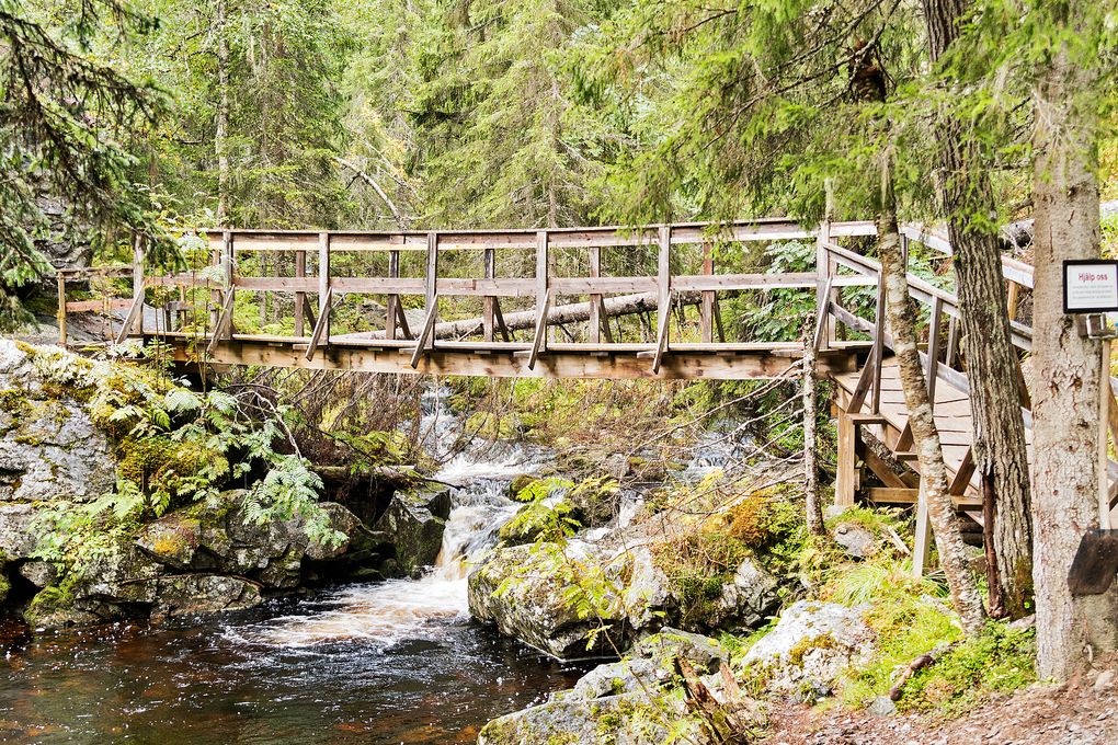 Die erste Brücke zum Fettjeåfallet