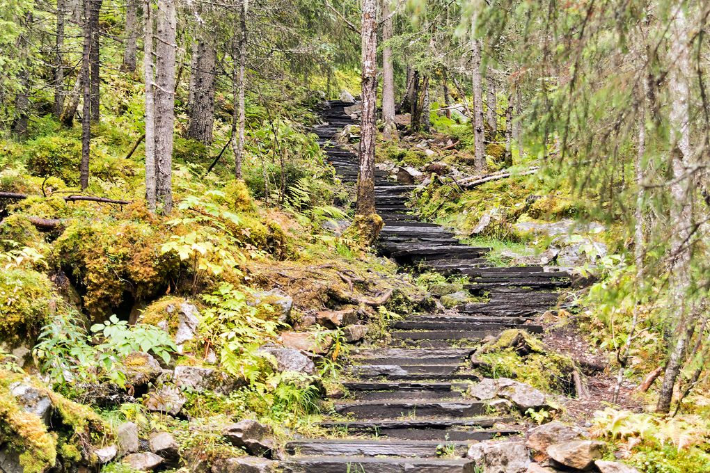 Von den Sherpas gebaute Treppe