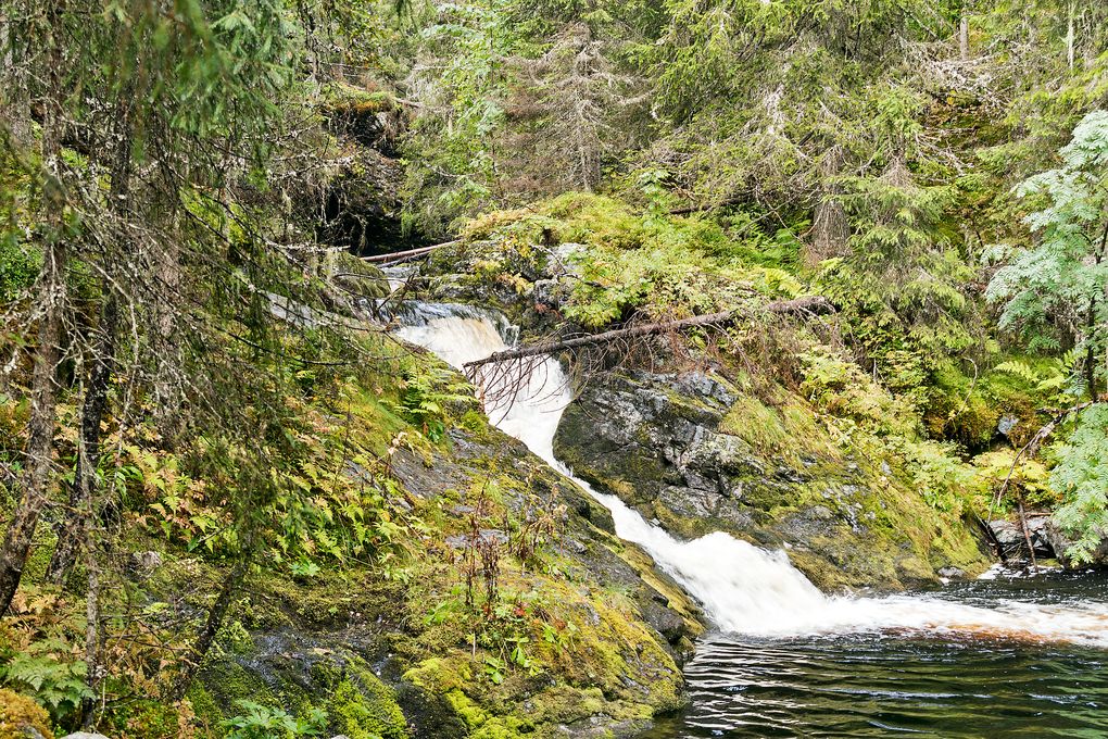Kleiner Wasserfall am Bach