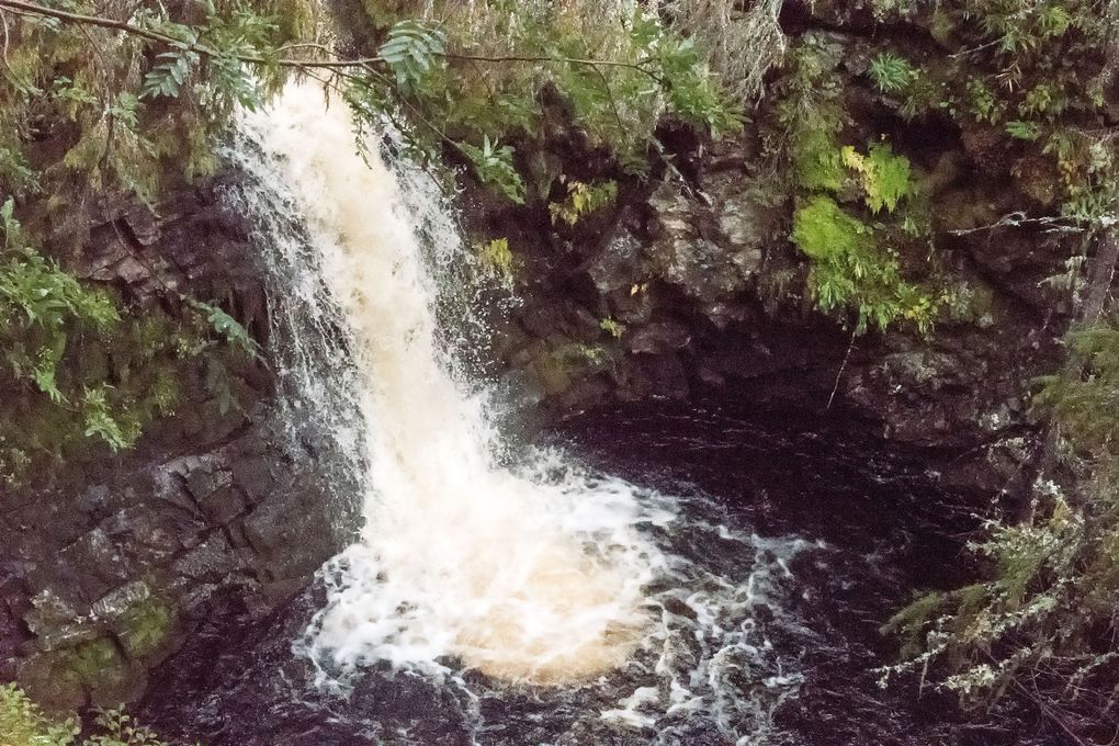 Ungefähr 2 Meter hoch