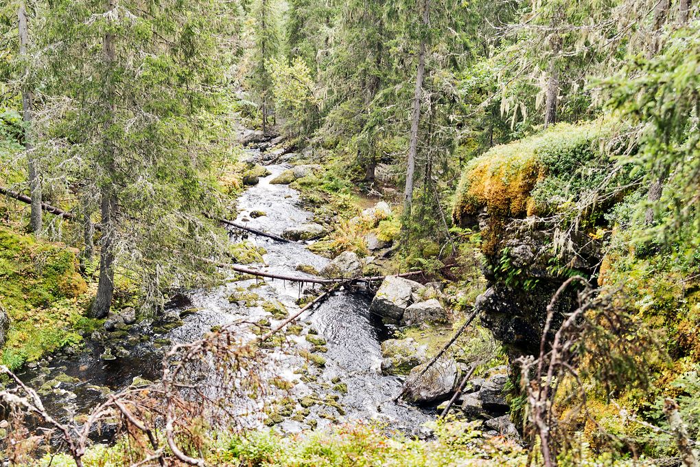 Das Wasser kommt vom Fettjeåfallet