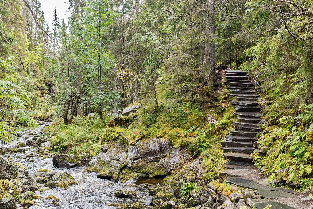 Sherpaweg am Bachlauf